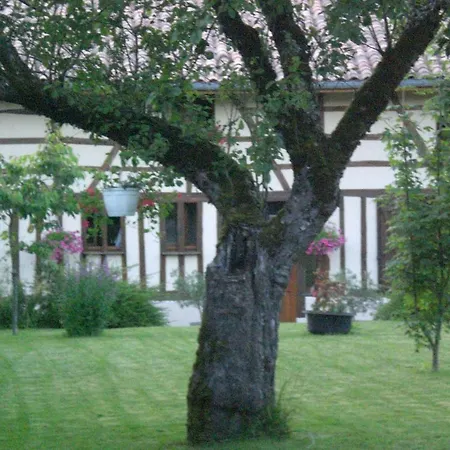 Bed & Breakfast La Maison Du Bucheron