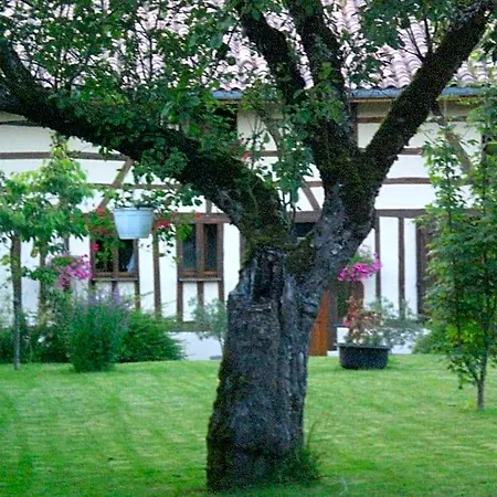 La Maison Du Bucheron