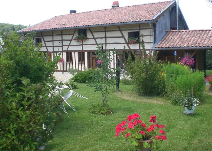 Bed & Breakfast La Maison Du Bucheron Futeau